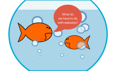 Web Design Agency – 5 Ways To Give Your Website The Edge