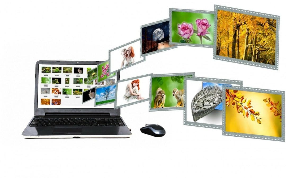 Royalty Free Images For Websites | AIM Internet | Digital Agency