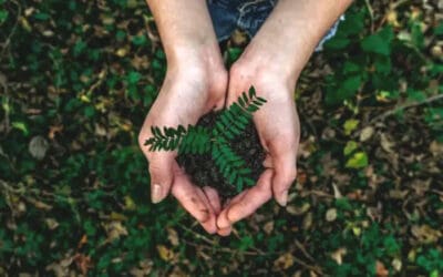 Eco-Friendly Marketing for Small Businesses: What Works in 2025