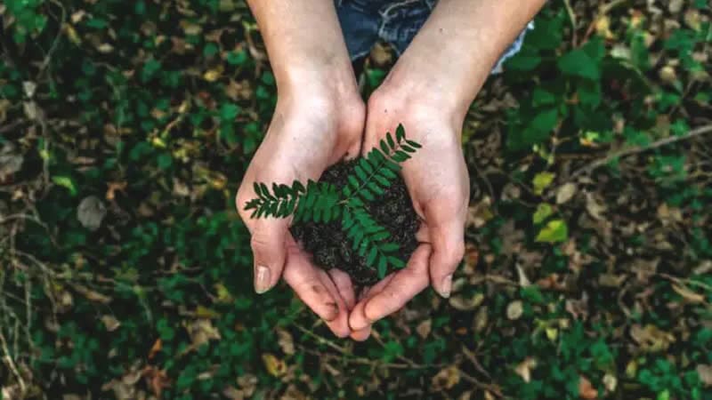 Eco-conscious business owner using sustainable marketing tools in 2025